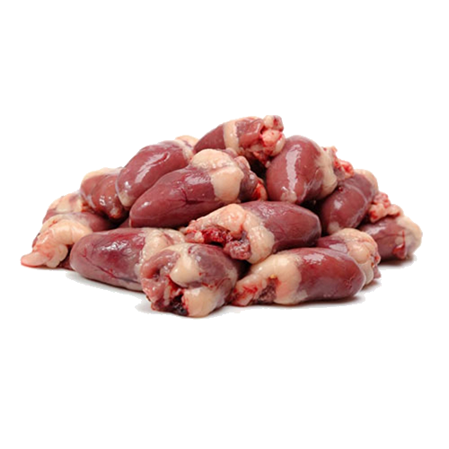 duck hearts 500×500 duck hearts 500×500