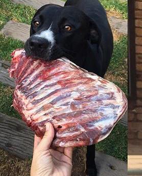 venison-ribs2