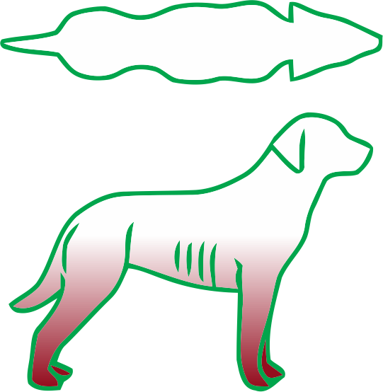carniraw-dog-body-shape-guide-001-underweight