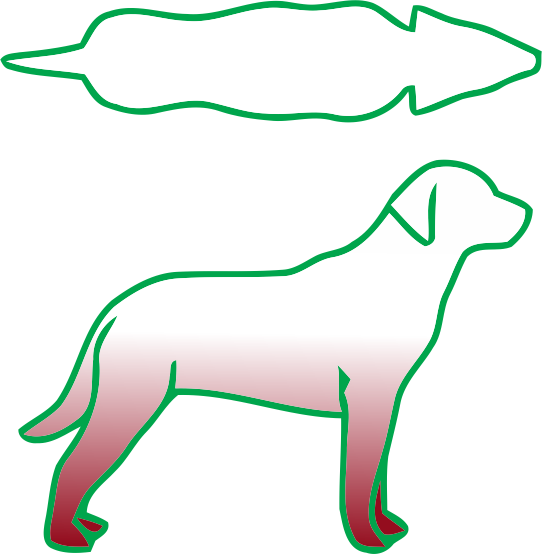 carniraw-dog-body-shape-guide-002-ideal