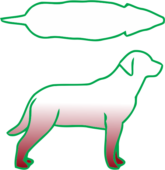carniraw-dog-body-shape-guide-003-overweight