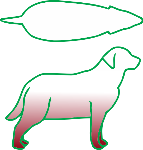 carniraw-dog-body-shape-guide-004-obese