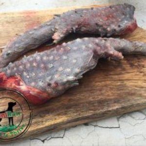 Ostrich Wingtips