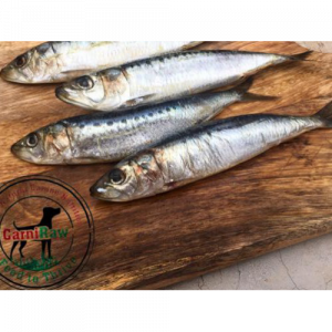Sardines /kg