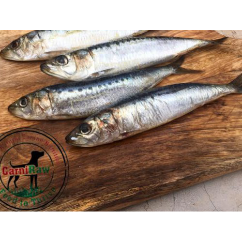 Sardines /kg