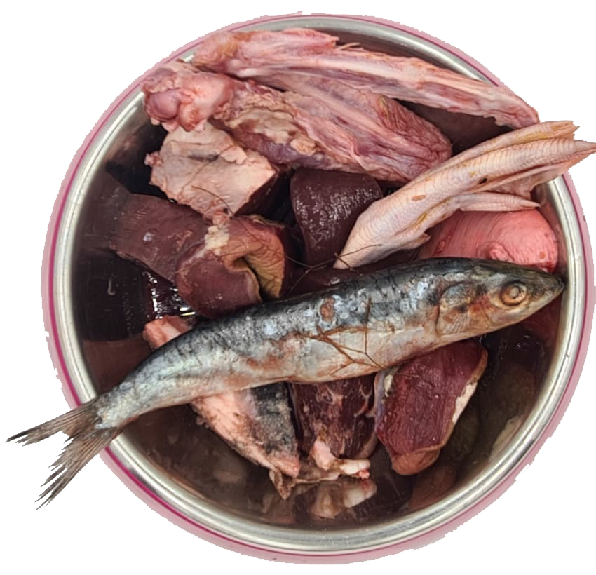 carniraw-bowl-of-food