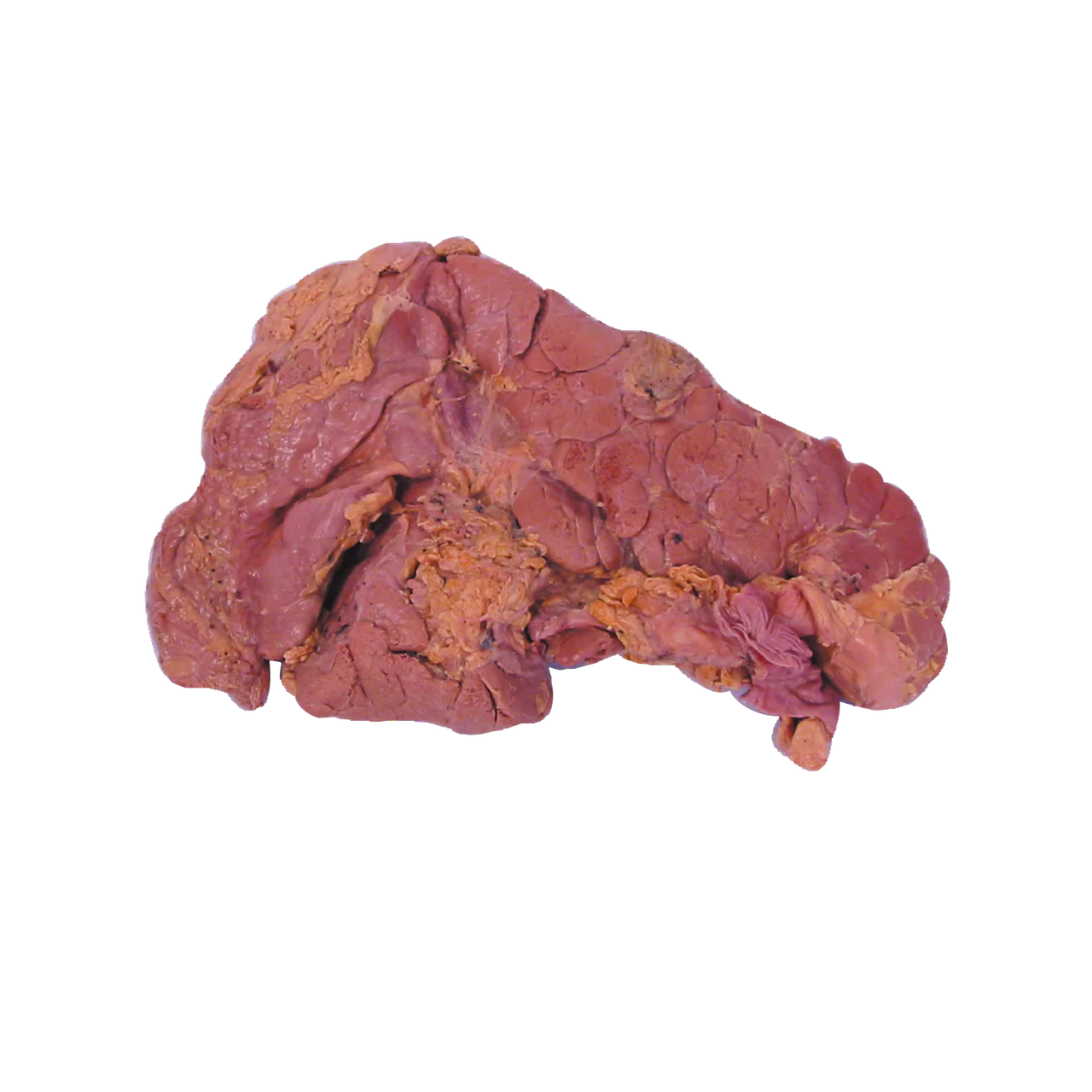 Raw Chunky Pork Pancreas