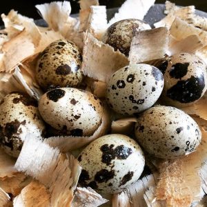 Protein packed quail eggs /dozen
