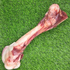 Venison Mega Meaty Bone