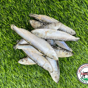 Sprats /kg