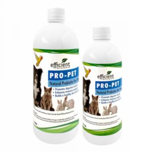 Propet Probiotic for Dogs