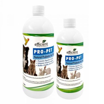 Propet Probiotic for Dogs