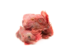 Chicken Heads (Doggobone) /kg
