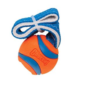 Chuckit! Ultra Tug Dog Toy
