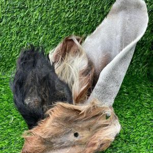 Carniraw Air Dried Beef Ears