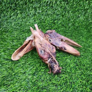 Air dried duck head