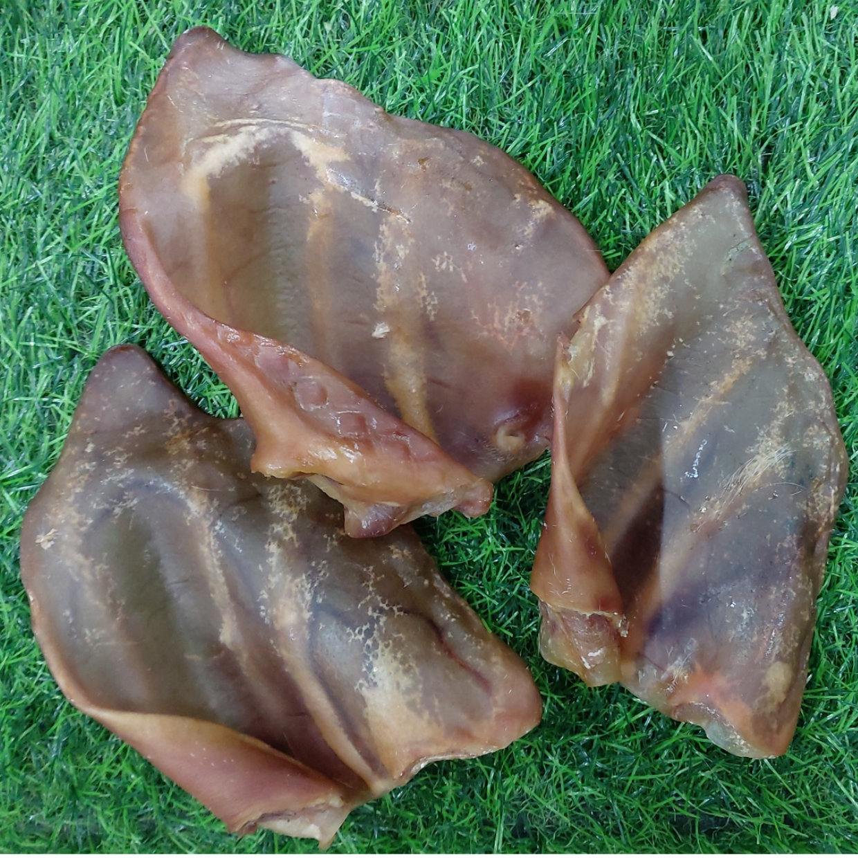 Air Dried pig ears