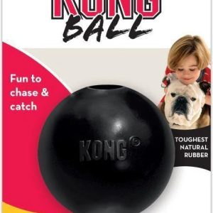 Kong Extreme Ball (L)
